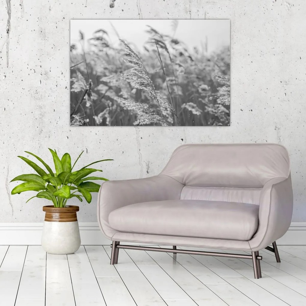 Kép - Fű a szélben (90x60 cm)