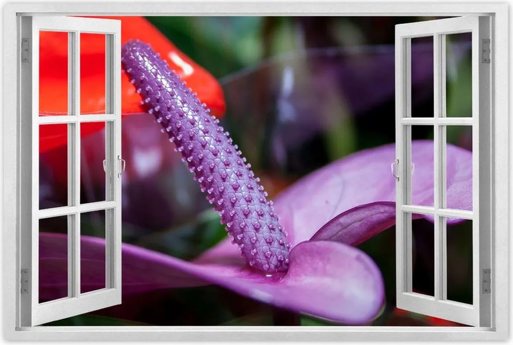 Poszterek 120x80 Lila antúrium