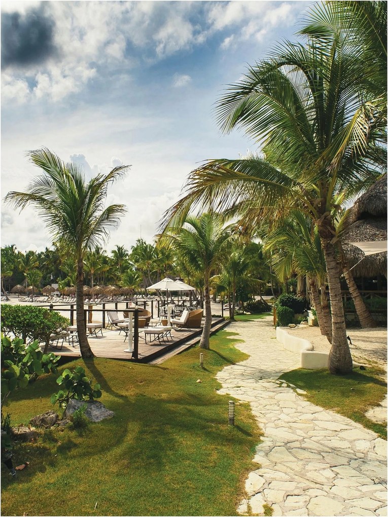 Fotótapéta pálmafák ég fotótapéta 184 x 254