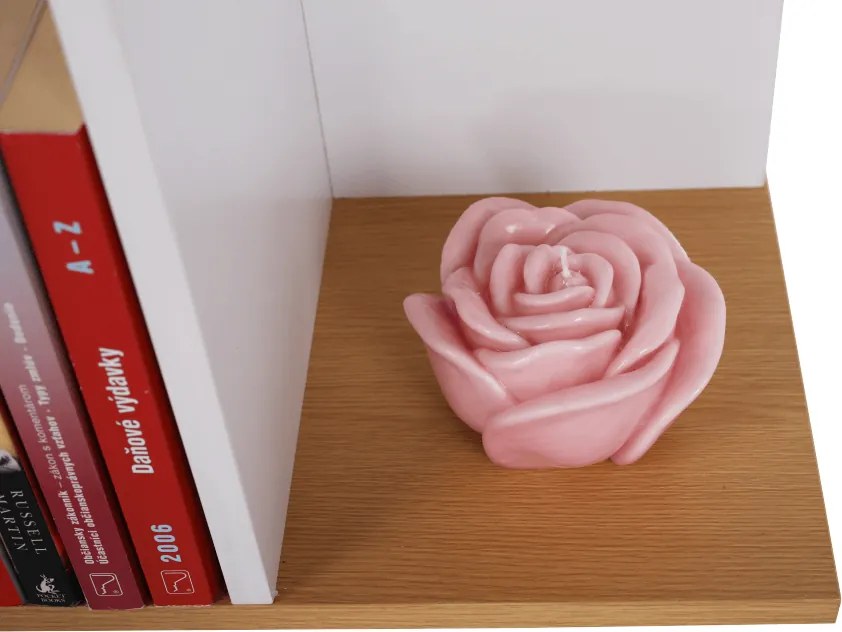 Könyvespolc, tűnyalábos fenyő/fehér, ERDEM NEW TYP 1