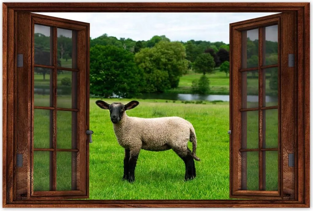 Poszterek 90x60 Juh legeltetés Bárányok Juhok