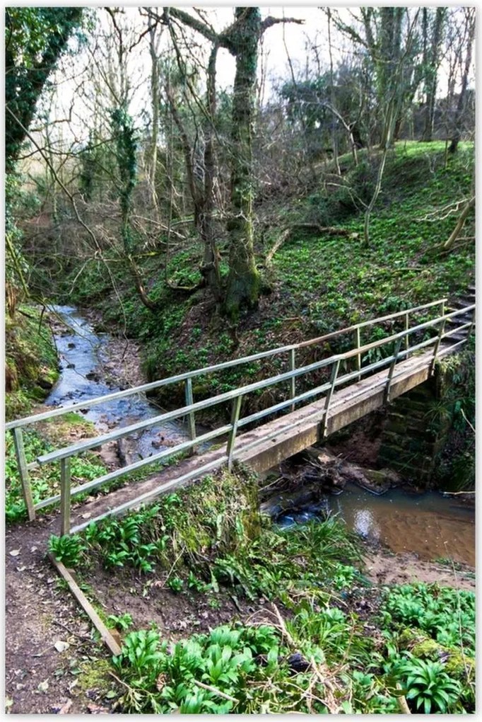 Poszterek 60x90 Híd a parkban