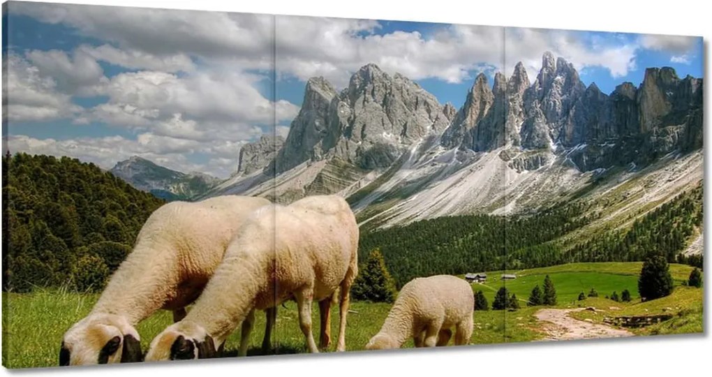Vászonkép 180x90 Hegyek Juh legeltetés