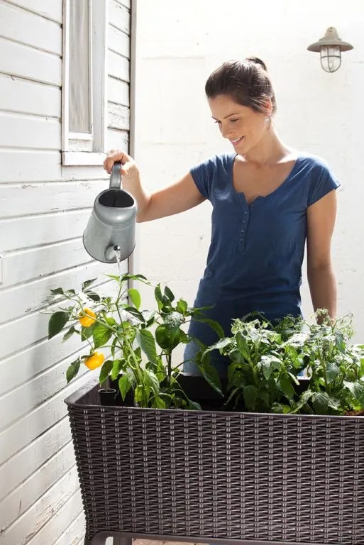 CURVER Virágcserép műrattan EASY GROW Barna