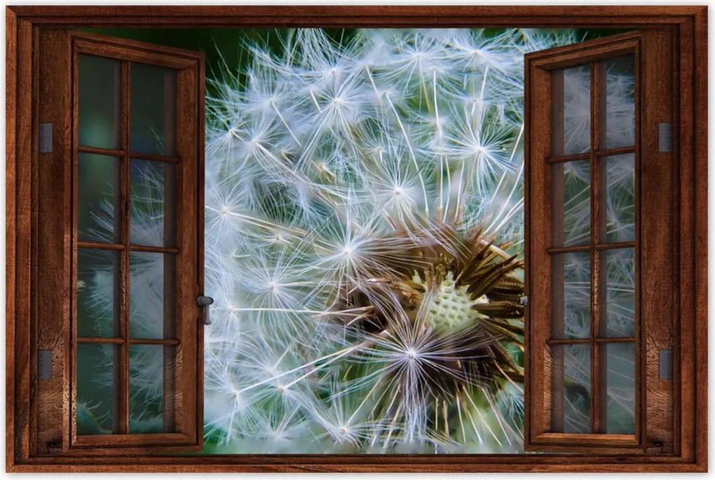 Poszterek 120x80 Pitypang Virág Virágok