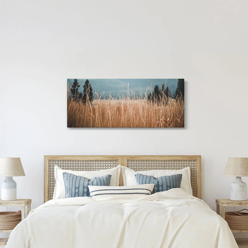 Kép - réti növényzet részlete (120x50 cm)