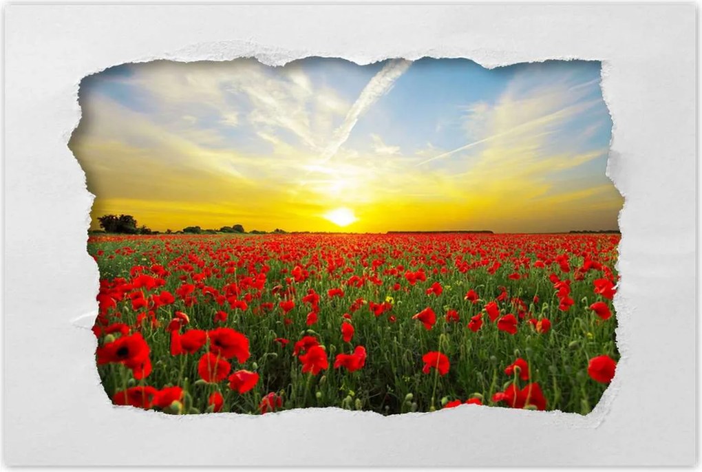 Poszterek 90x60 Pipacsmező nyugattal