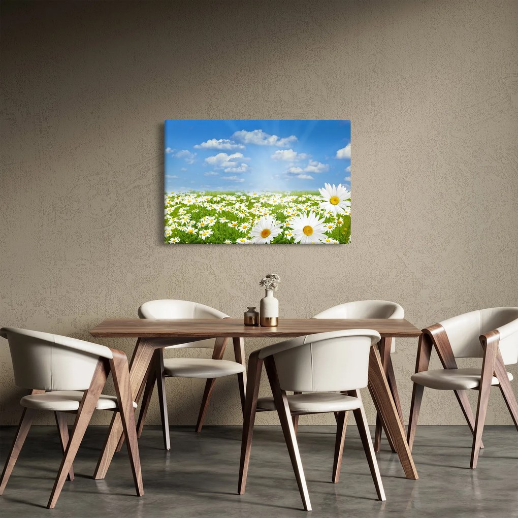 A virágzó rét százszorszépekkel képe (90x60 cm)