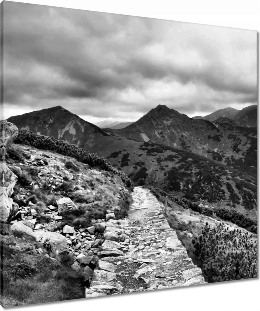 Vászonkép 80x80 Tátra Lengyel hegyek Kilátás