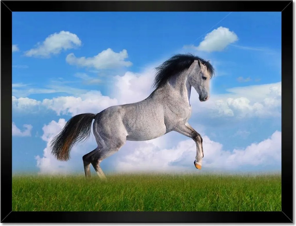 Poszterek keretben 40x30 Ló áll tölgy Ló