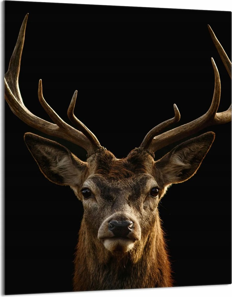 Üveg Vágódeszka 40x52 Szarvas a Konyhába