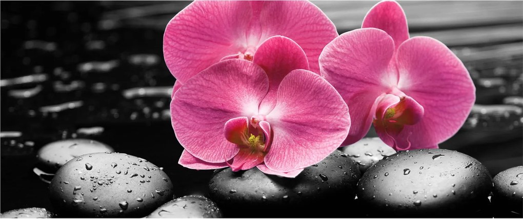 Kép - Rózsaszín orchideák (120x50 cm)