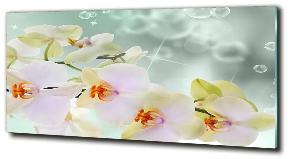 Üvegkép falra Fehér orchidea cz-obglass-125x50-91133337