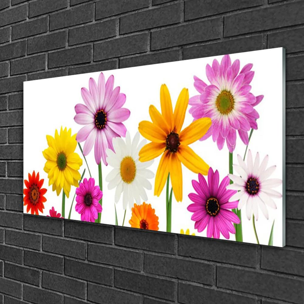 Üvegkép Színes virágok természet 125x50 cm