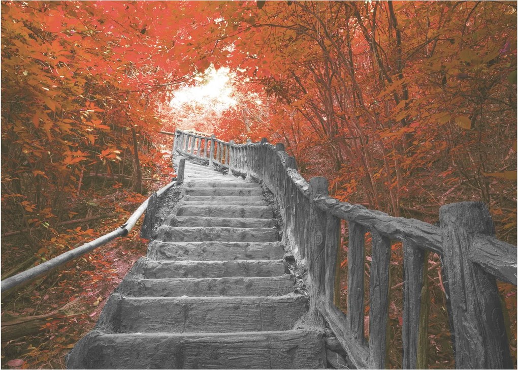 Üveg kép - Lépcsők a természetben, narancssárga (70x50 cm)