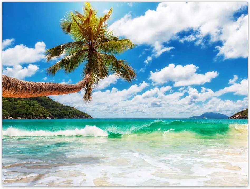 Poszterek 40x30 Paradicsomi tengerpart pálmafákkal