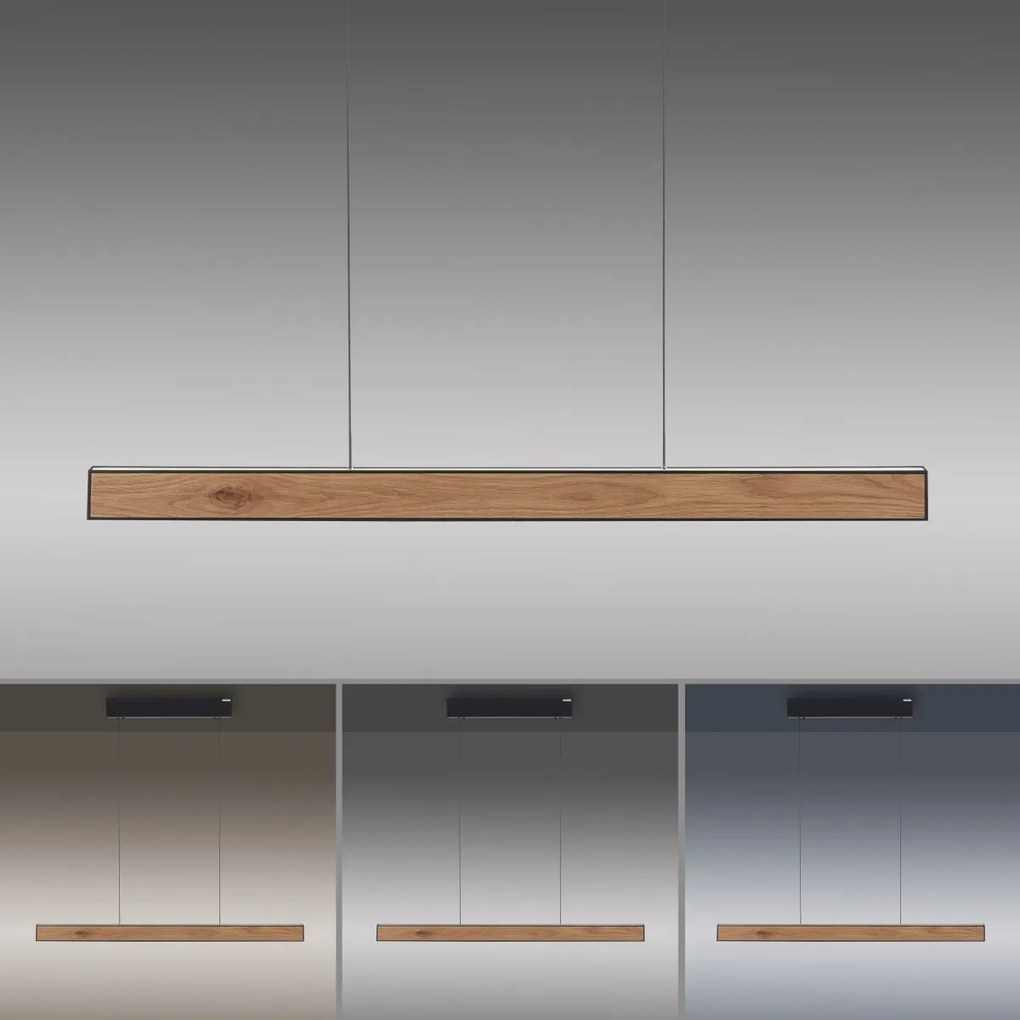 Paul Neuhaus modern skandináv függeszték pure e-motion fekete fa pln2570-79