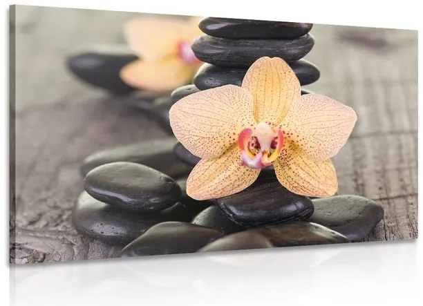 Kép sárga orchidea és Zen kövek