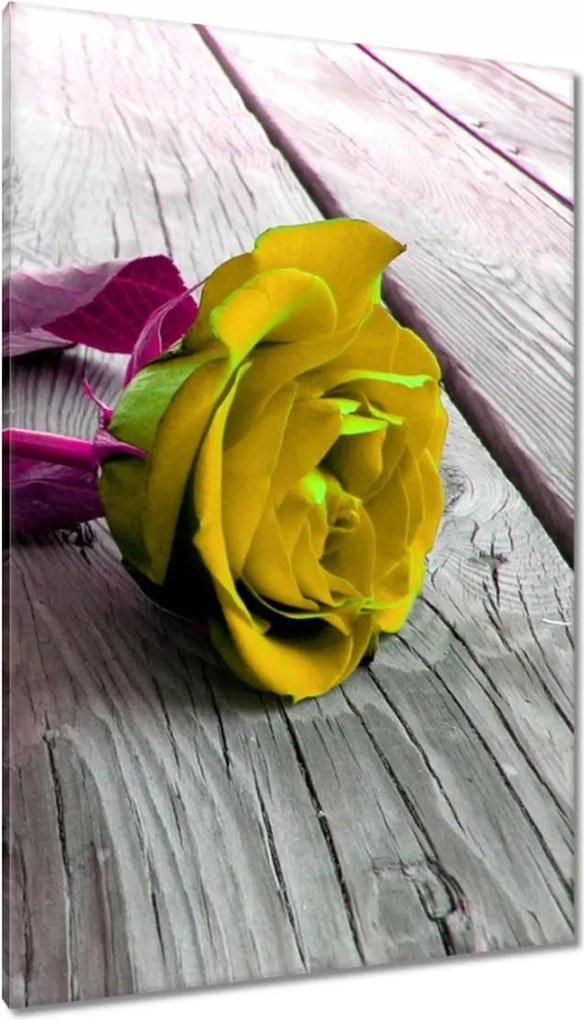 Festmények 80x120 Freeky rose