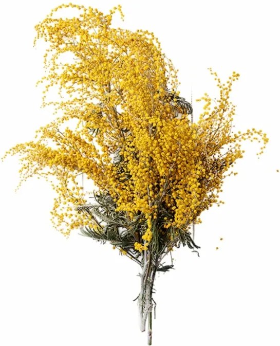 EMI Albizia aromapárna 50x70 cm