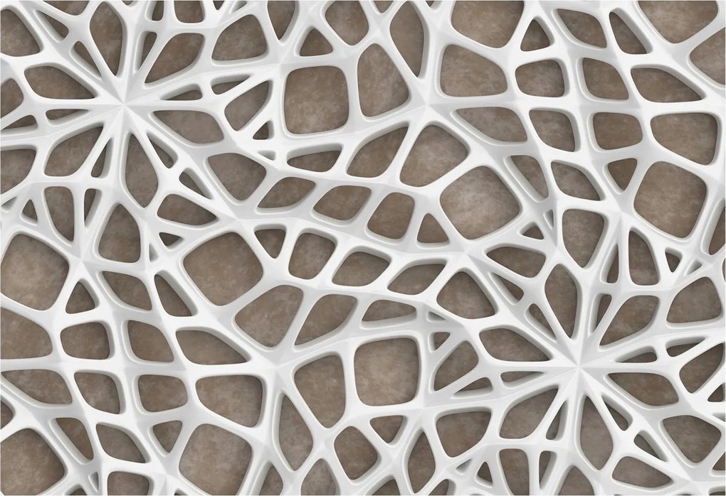 Fotótapéta Flizelin Fali ragasztó szett Csipke háló 152x104 ragasztó