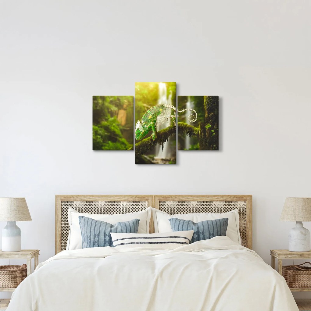 Kaméleon képe (90x60 cm)