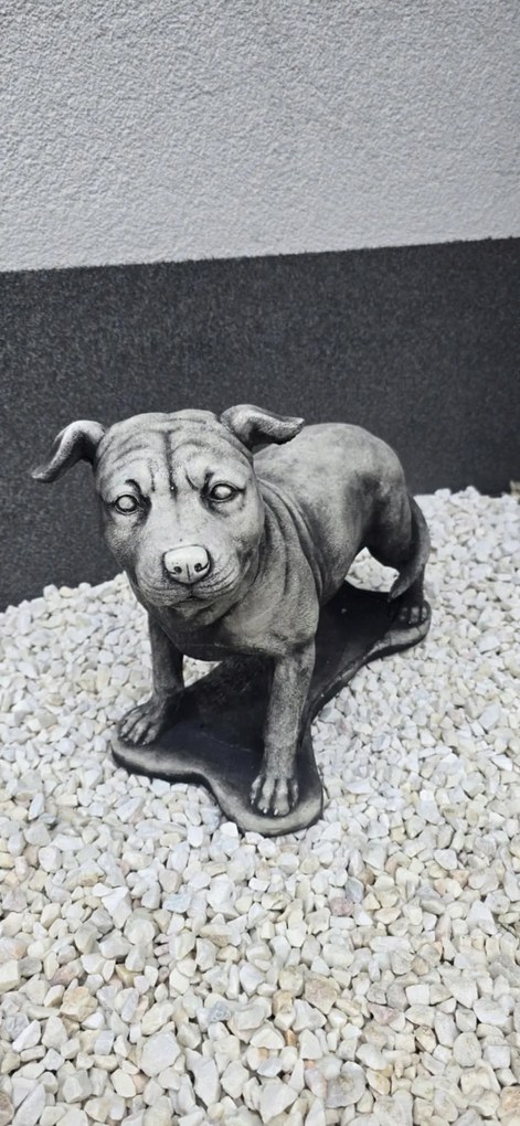 Beton figura Kutya Amerikai Staffordshire terrier, Amstaff álló