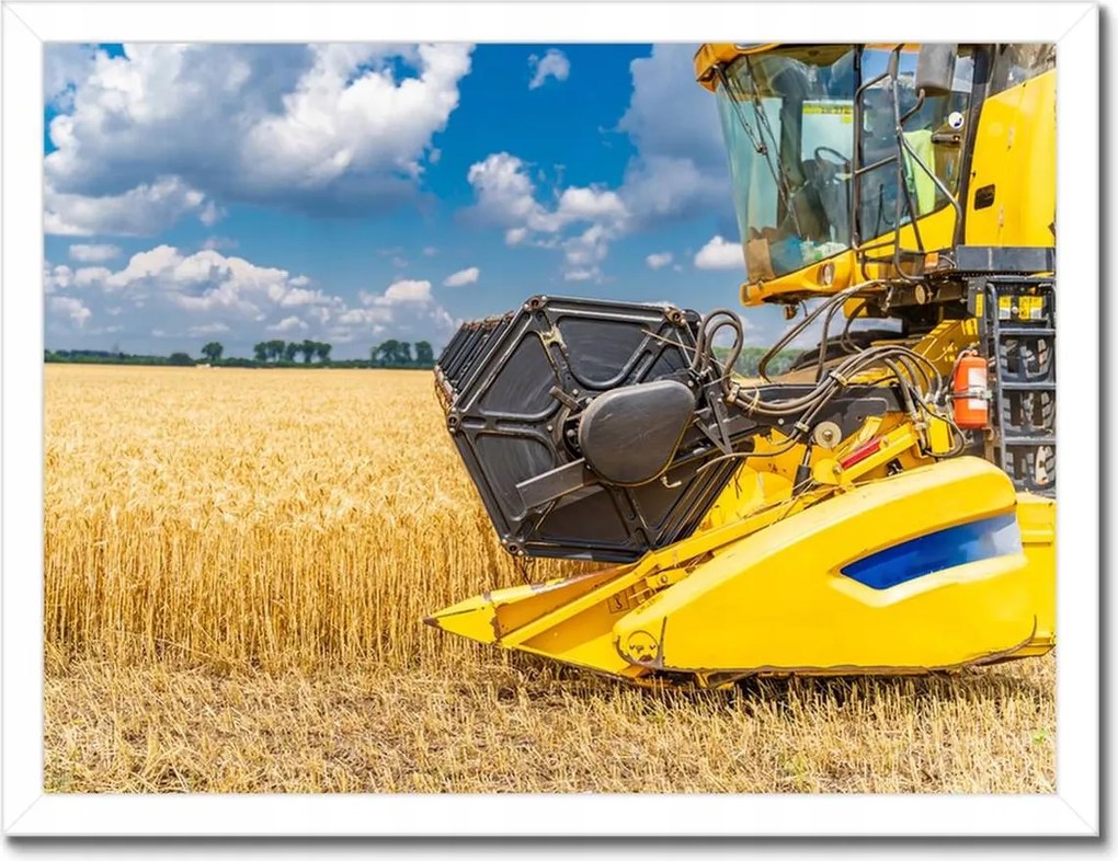 Poszterek keretben 40x30 Érett termések gyűjteménye