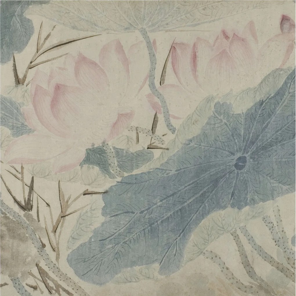 Dekoratív Fotótapéta Hálószoba Lótusz levelek 250x250 Ragasztó