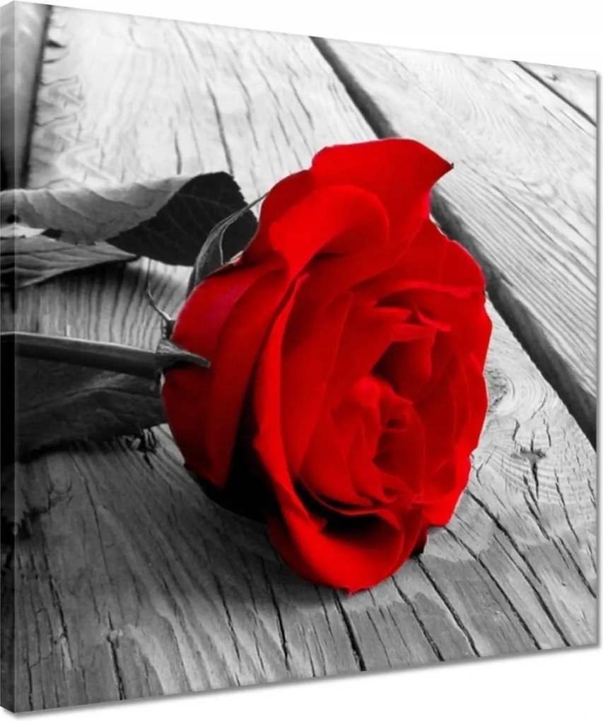 Vászonkép 40x40 Vörös rózsa a deszkákon