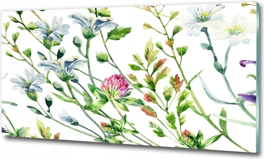 Fotótapéta üvegfalra Gyógynövények és gyomok 100x70