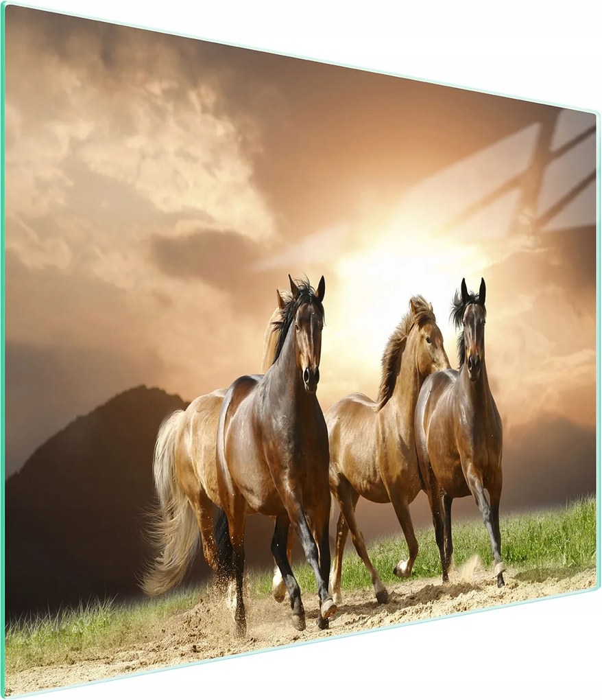 Üveg Vágódeszka 52x30 Lovak Edzett Üveg