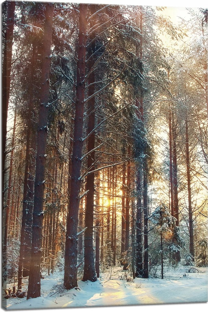 Vászonkép Erdő Tél Hó Fehér Természet 40x60 cm