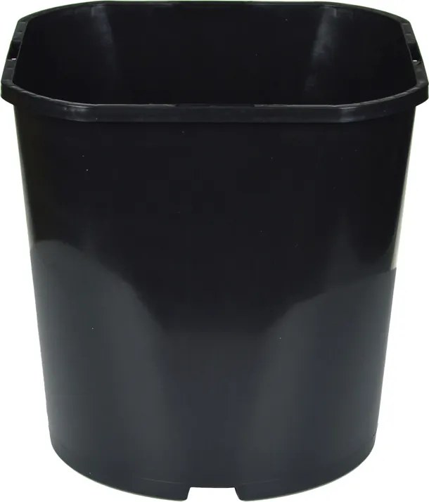 Termelő kaspó szögletes 1616cm 3L 50db