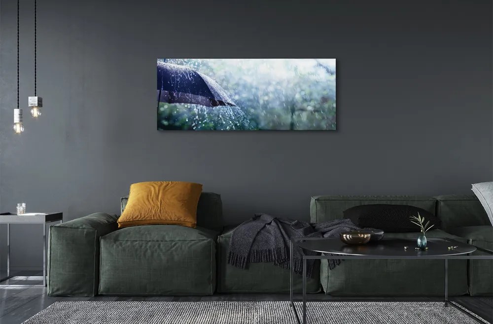 Akrilkép Esernyő eső esik 100x50 cm