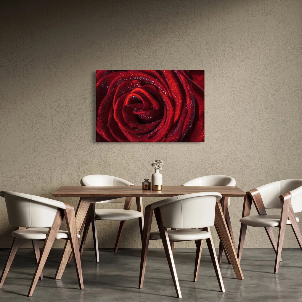 Kép - Vörös rózsa harmatcseppekkel (90x60 cm)