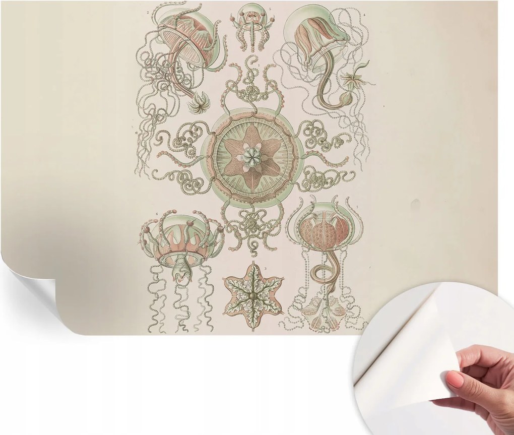 Öntapadós fali fotótapéta Hálószobába Víz alatti világ 104x70 cm