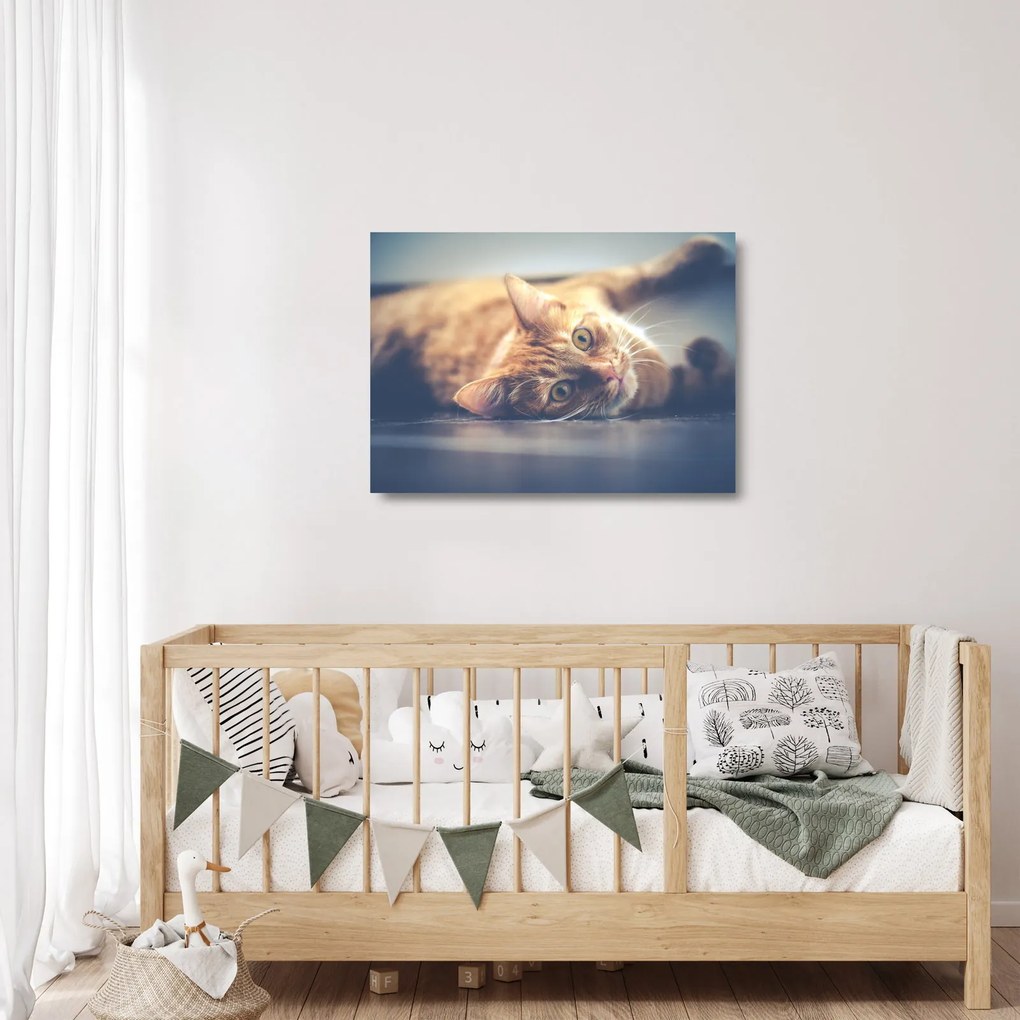 Egy kép a macskáról a padlón (üvegen) (70x50 cm)