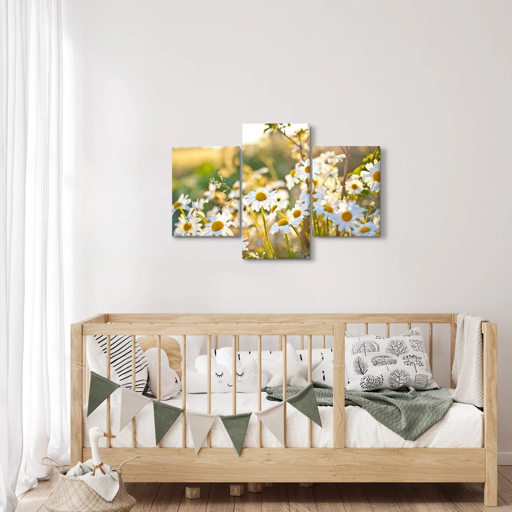 Kép - Százszorszépek (90x60 cm)