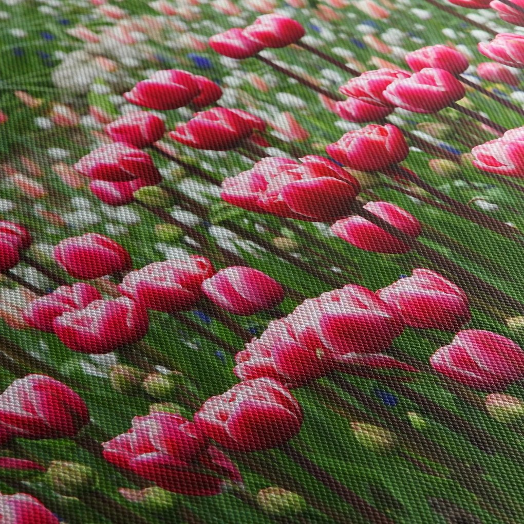 Tulipán képe (120x50 cm)