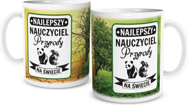 Bögre a legjobb Természettanárnak