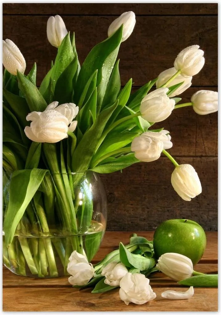 Poszterek 70x100 Fehér tulipánok Deszka
