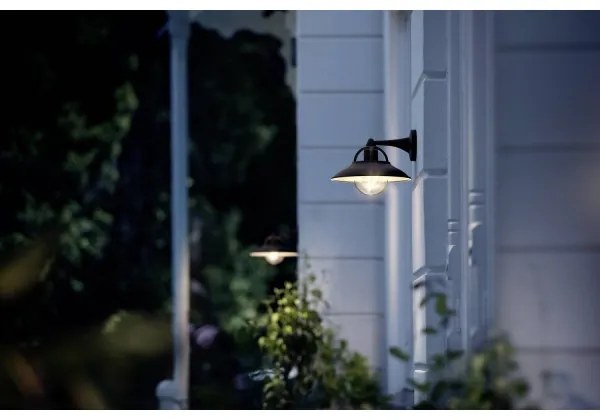 Philips 17381/30/PN - Kültéri fali lámpa COMORANT 1xE27/42W/230V IP44