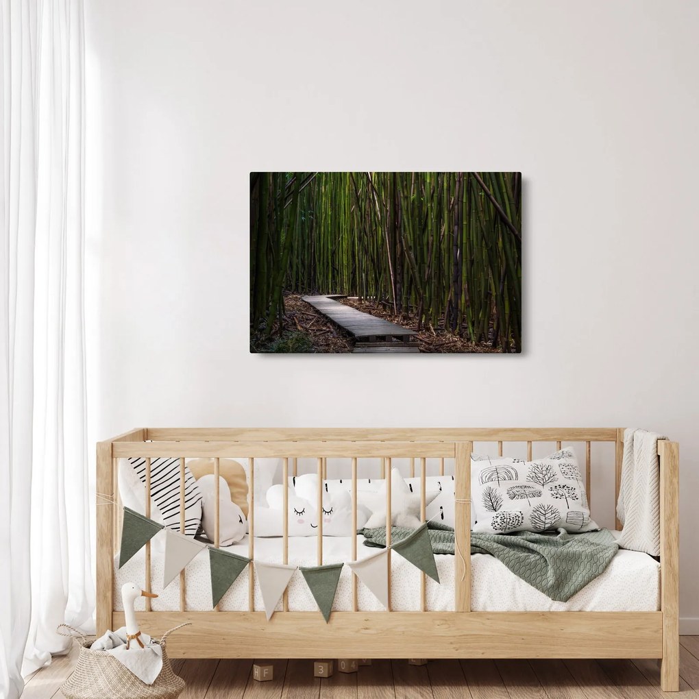 Kép - A bambuszok között (90x60 cm)