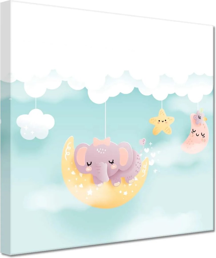 Vászonkép 20x20 Felhők és állatok