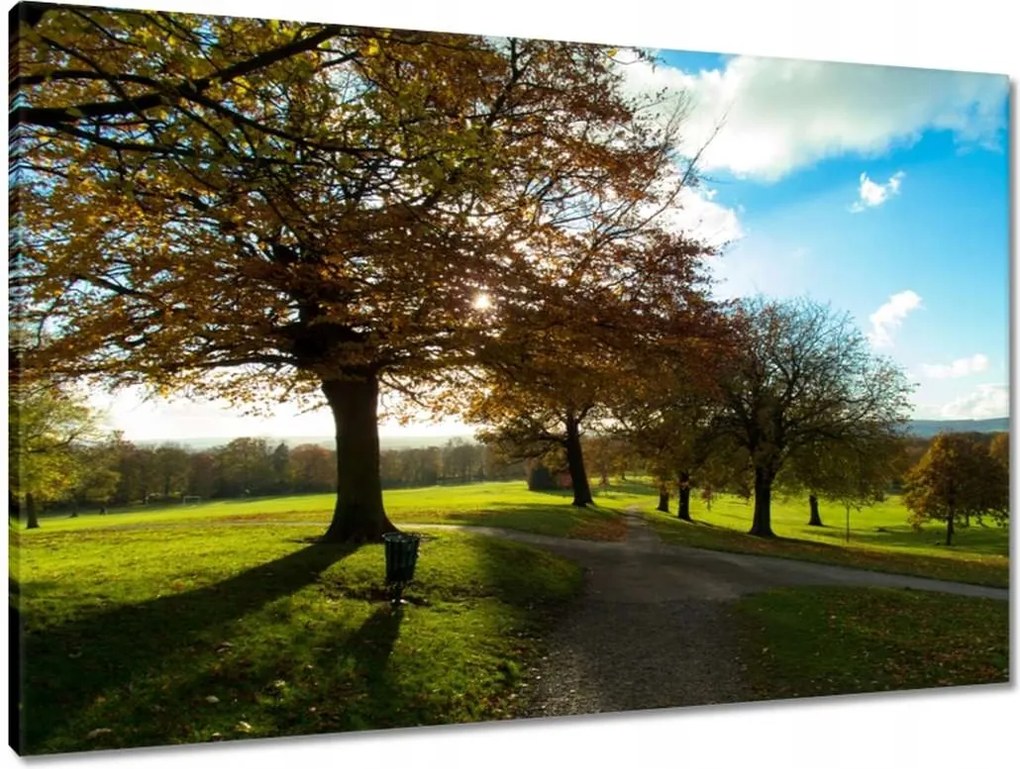 Vászonkép 90x60 Őszi tájkép