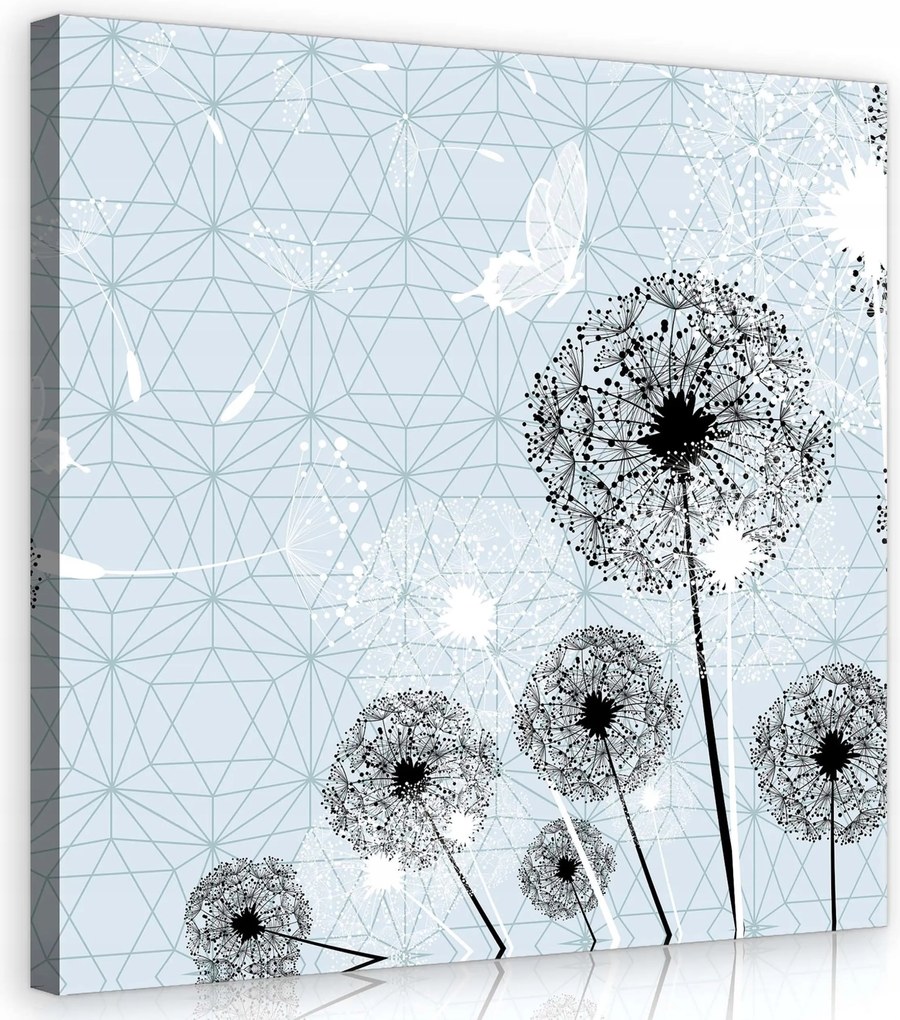 Vászonkép 40x40 Pitypang pillangók magok könnyedség tavasz nyár levegő