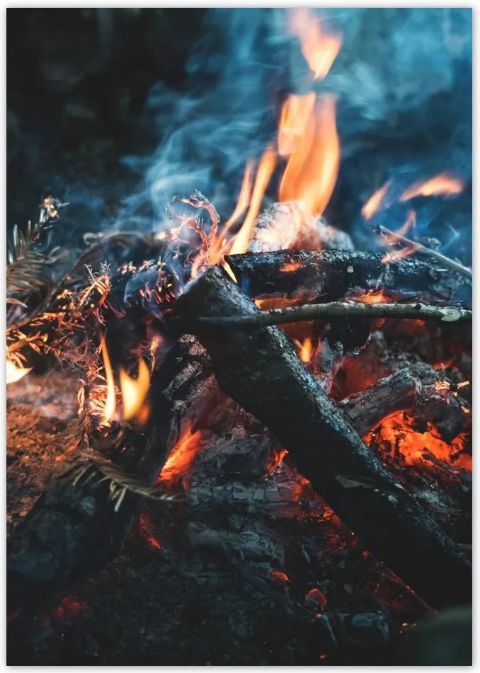 Poszterek A5 Pion Tűz az éjszakában az erdőben