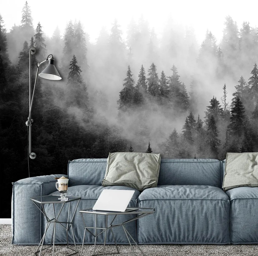 Fotótapéta - Erdő a ködben (254x184 cm)