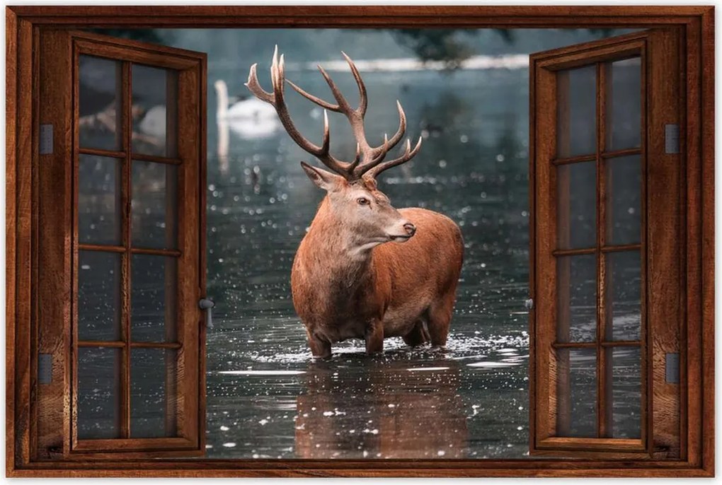 Poszterek 120x80 Szarvas felszarvazott